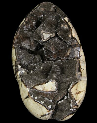 Polished Septarian Dragon Egg Geode #87102